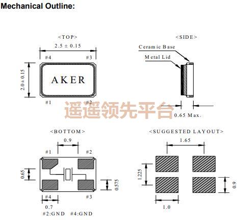 C2E-24.000-10-1010-R,AKER3044,C2EԴƬ3044